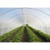 String Reinforced 4 Year UV Resistant 10 mil Clear Greenhouse Plastic Sheeting - 60' Wide