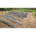 Weed Control 6 Mil Black Plastic Sheeting